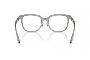 Versace VE3378D 5510 Transparent Grey szemüveg kép