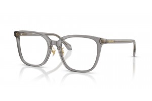 Versace VE3378D 5510 Transparent Grey szemüveg kép