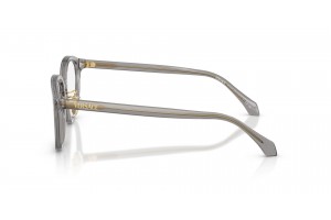 VERSACE VE3379D 5510 Transparent Grey – női demo lencsével