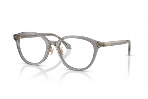 VERSACE VE3379D 5510 Transparent Grey – női demo lencsével