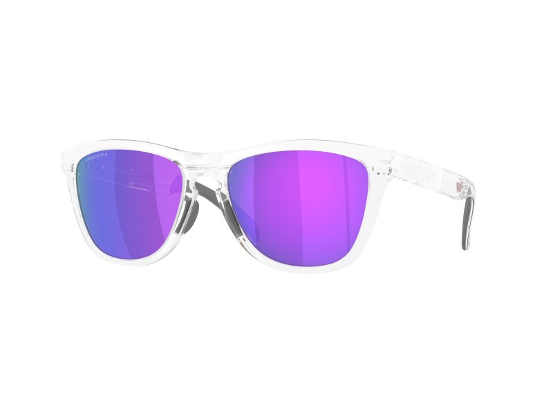 Oakley Frogskins XL OO9503 05, Prizm Violet