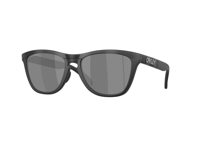 Oakley Frogskins Range XL Matt Tortoise - Prizm Black Polarized