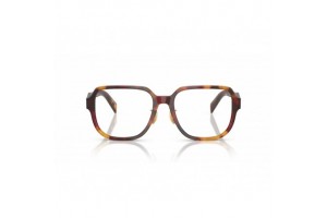 PRADA PRB07VD 22A1O1 Poppy Tortoise/Bordeaux szemüveg