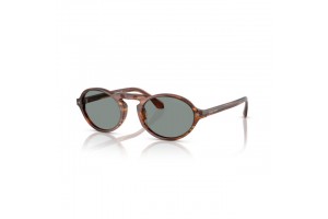 Giorgio Armani AR8219U Brown/Blue napszemüveg