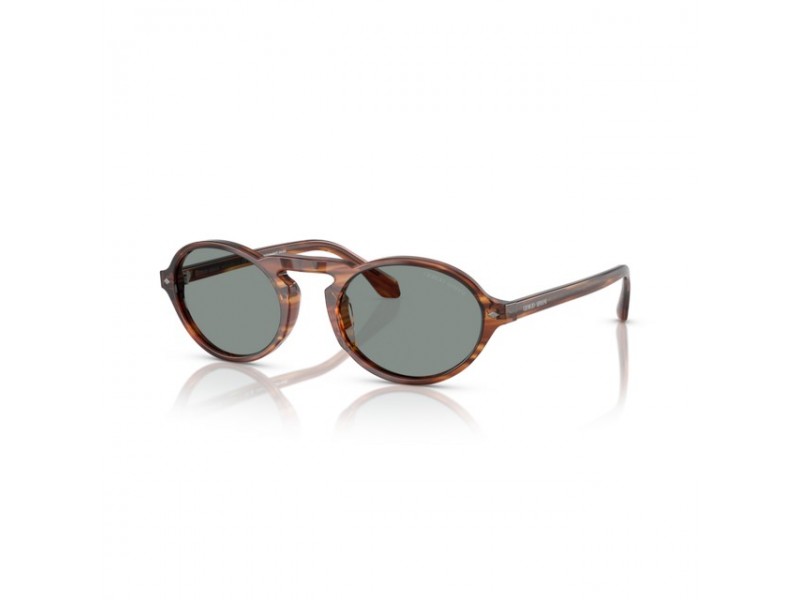 Giorgio Armani AR8219U Brown/Blue napszemüveg