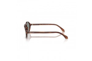 Giorgio Armani AR8219U Brown/Blue napszemüveg