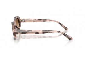 Ray-Ban RB2223 OPAL PINK HAVANA - Clear Gradient lencse