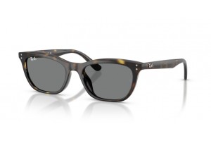 Ray-Ban RB4474D 710/87 HAVANA Dark Grey