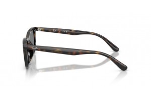 Ray-Ban RB4474D 710/87 HAVANA Dark Grey