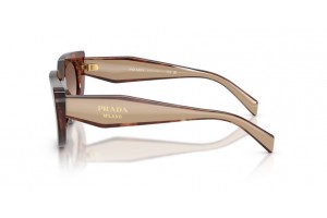 Prada PRD02S karamell teknősbéka napszemüveg