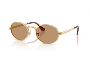 Ray-Ban RB3931 001/53 (ASAP ROCKY) ARISTA GOLD BROWN napszemüveg
