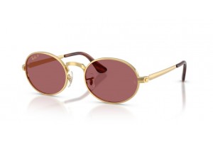 Ray-Ban RB3931 001/AF (ASAP ROCKY) ARISTA GOLD PURPLE POLARIZED napszemüveg