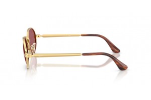 Ray-Ban RB3931 ASAP ROCKY ARISTA Gold Purple polarizált