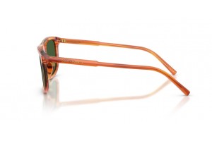 DG4542 Dolce&Gabbana férfi napszemüveg - CAMEL/sötétzöld