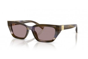 Dolce&Gabbana DG4532 3447LA női csíkos olive-violet