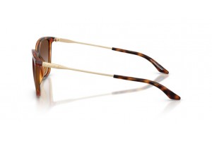 Armani Exchange AX4171SU 821313 Shiny Havana barna napszemüveg