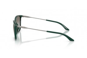 Armani Exchange AX4171SU - sötétzöld/szürke napszemüveg