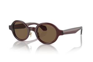 Giorgio Armani AR8205 - barna napszemüveg