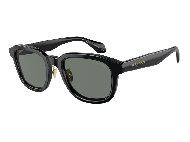 GIORGIO ARMANI AR8206 Black Grey napszemüveg