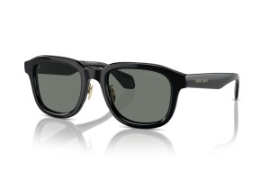 GIORGIO ARMANI AR8206 Black Grey napszemüveg