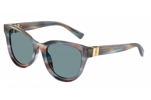 DOLCE & GABBANA DG4533...