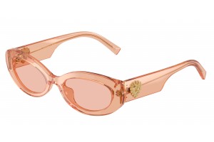 DOLCE & GABBANA DG4537...