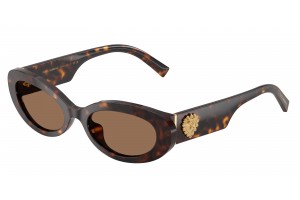 DOLCE & GABBANA DG4537...