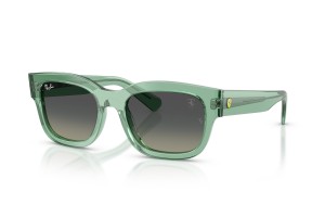 RAY-BAN RB2228M F70911...