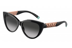 TIFFANY TF4196 80013C Black...