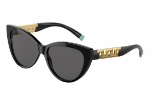 TIFFANY TF4196 8001S4 Black...