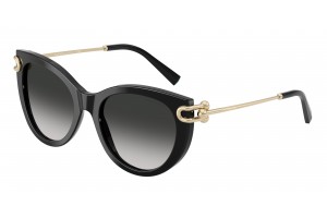 TIFFANY TF4232 80013C Black...