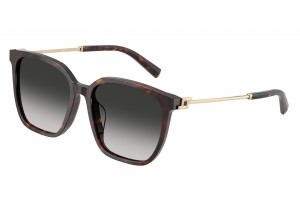 TIFFANY TF4244D 80153C...