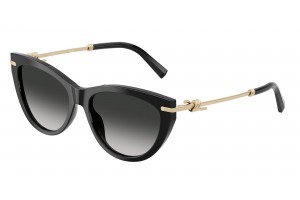 TIFFANY TF4253 80013C Black...