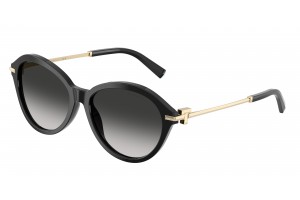 TIFFANY TF4259 80013C Black...