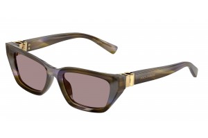 DOLCE & GABBANA DG4532...