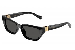 DOLCE & GABBANA DG4532...