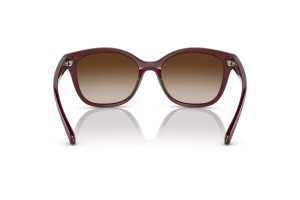 ARMANI EXCHANGE AX4127S - Shiny Transparent Red, Gradient Brown