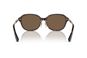Burberry BE4429D Dark Havana napszemüveg
