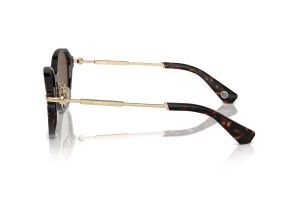 Burberry BE4429D Dark Havana napszemüveg