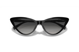 Michael Kors MK2195U Harbour Island napszemüveg - fekete/szürke