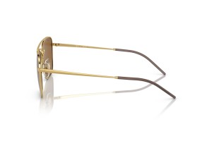 RAY-BAN RB3588 Arista Gold - sötétbarna polarizált