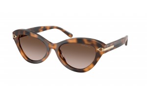 RALPH LAUREN RL8236U 608913 Havana Gradient Brown napszemüveg