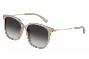 TIFFANY TF4244D 82503C Opal...