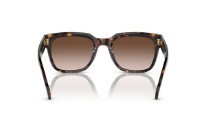 VOGUE VO5490S W65613 - Dark Havana napszemüveg