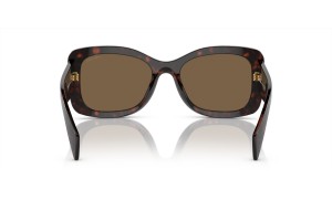 Prada PR A08S 16N5Y1 - Briar tortoise, sötétbarna polarizált