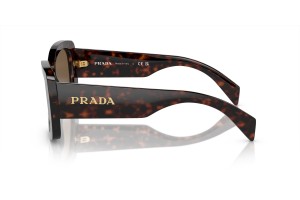 Prada PR A08S 16N5Y1 - Briar tortoise, sötétbarna polarizált