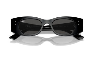 Ray-Ban RB4427 667787 fekete-sötétszürke napszemüveg