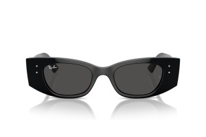 Ray-Ban RB4427 667787 fekete-sötétszürke napszemüveg