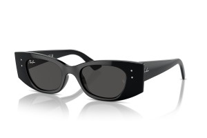 Ray-Ban RB4427 667787 fekete-sötétszürke napszemüveg