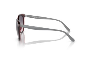 Vogue VO5453S Transparent Bordeaux Pink Gradient napszemüveg